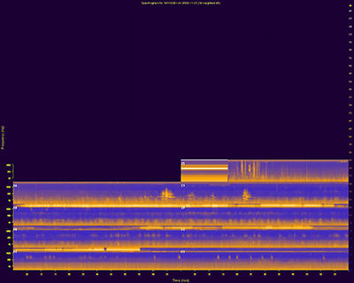 Western Soundscape Spectrograms