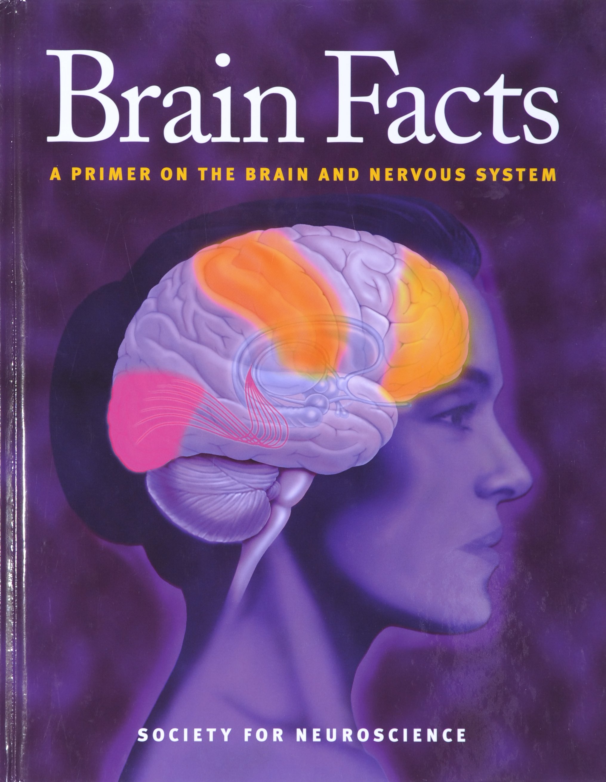 R brain. Книга the Brain. Society for Neuroscience. Мозг и нервная система книга. Neuroscience сумка.