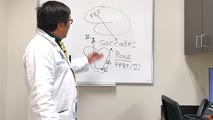 Pursuit Eye Movements: Control Centers | Eccles Health Sciences Library | J. Willard Marriott Digital Library